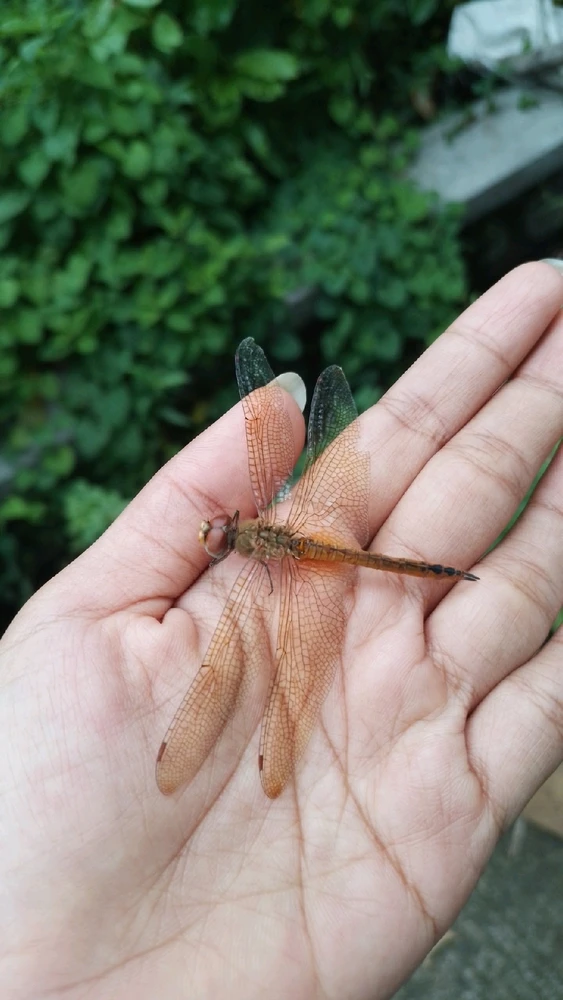 GIF uploaded by Aida