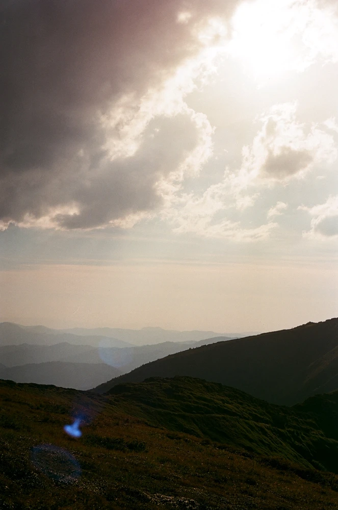 Image uploaded by Liza