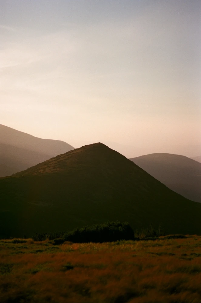 Image uploaded by Liza