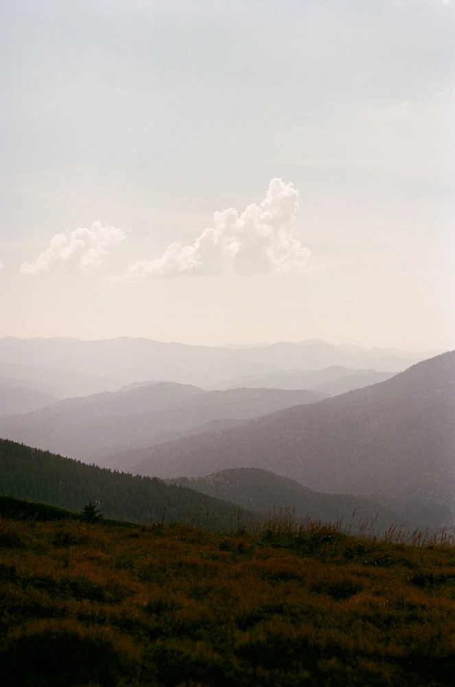 Image uploaded by Liza