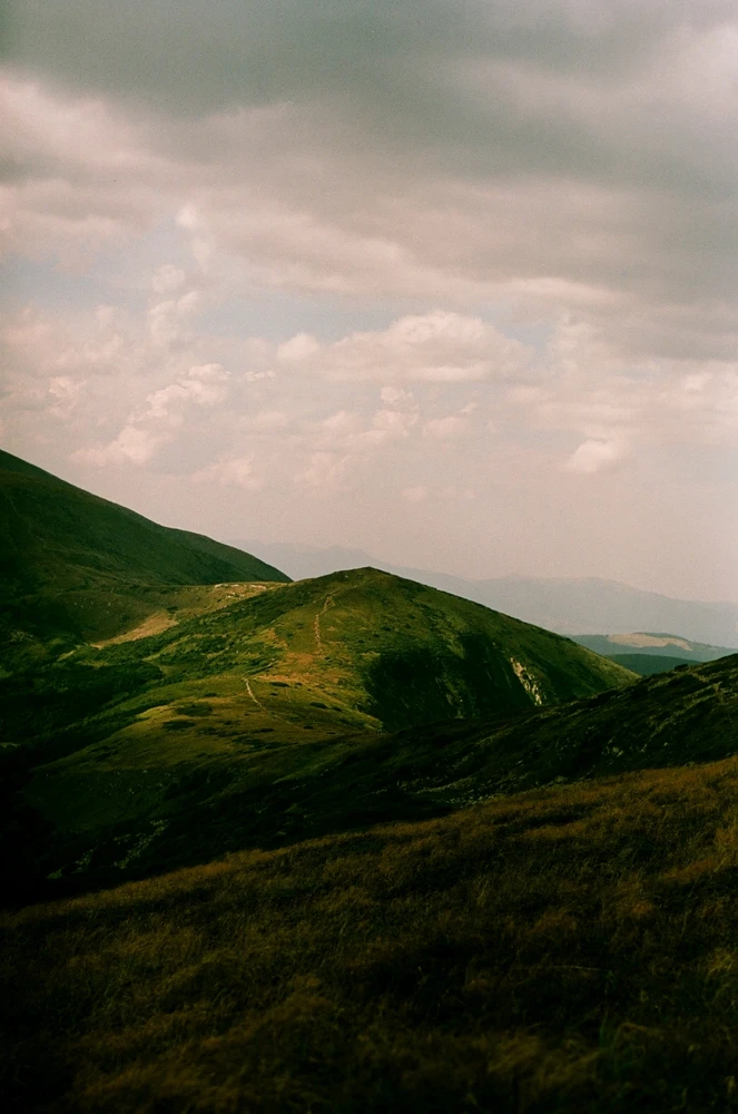 Image uploaded by Liza