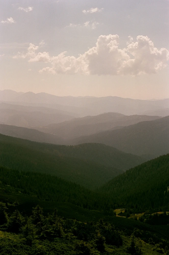 Image uploaded by Liza