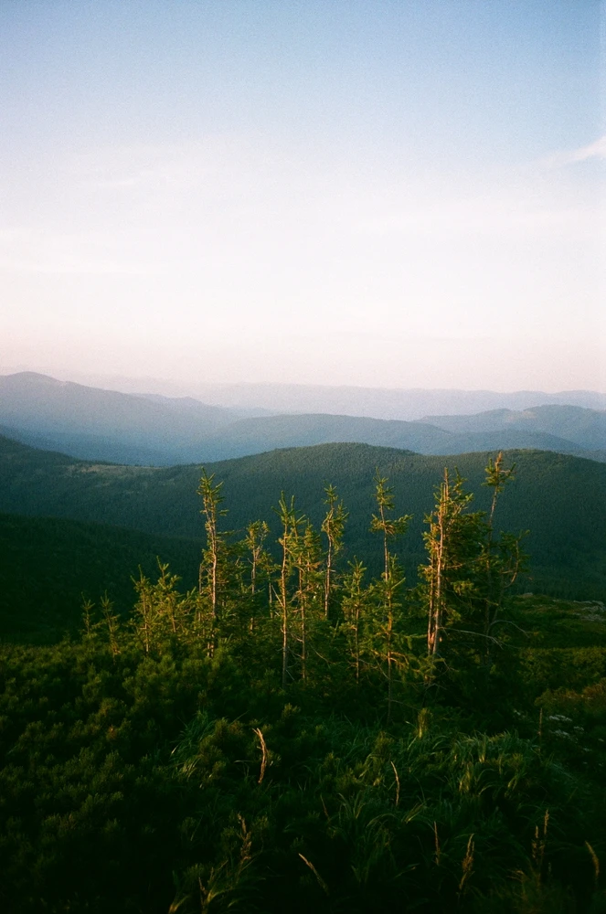 Image uploaded by Liza