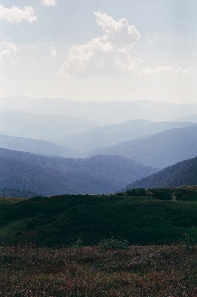 Зображення завантажив Liza