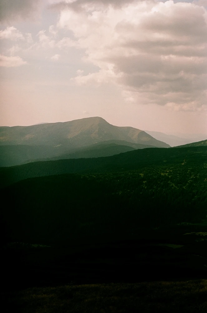 Зображення завантажив Liza