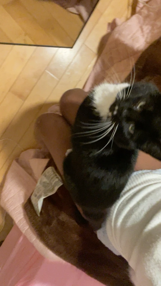 Image uploaded by Sage