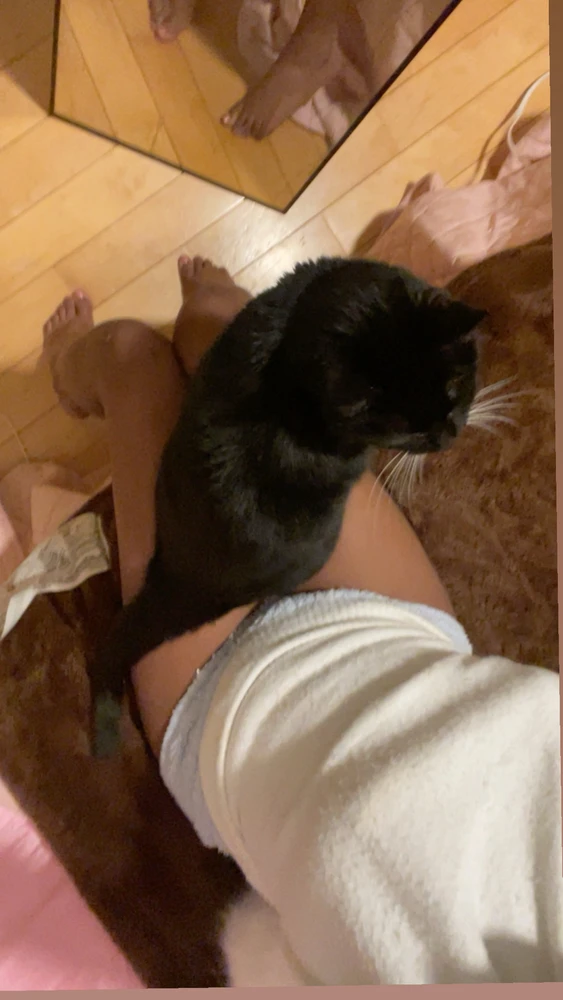 Image uploaded by Sage