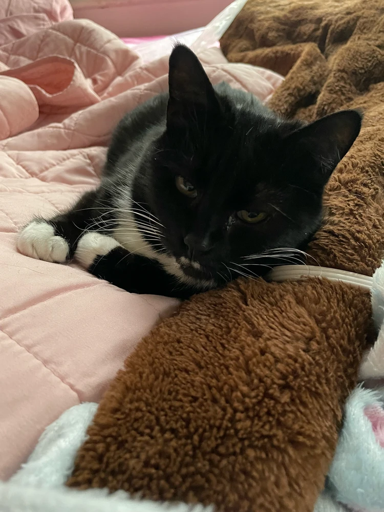 Image uploaded by Sage