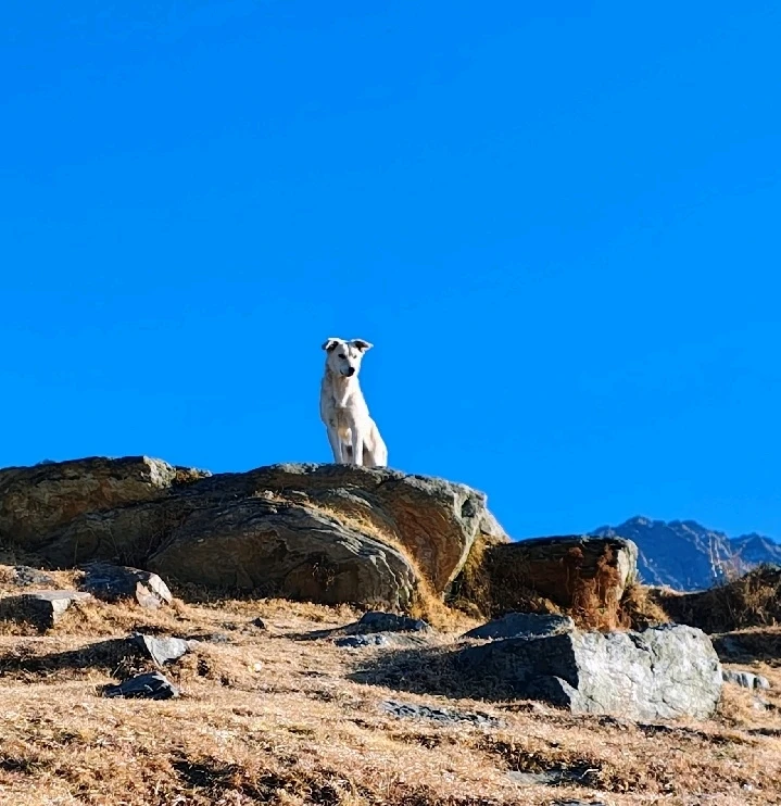 GIF uploaded by Shivang