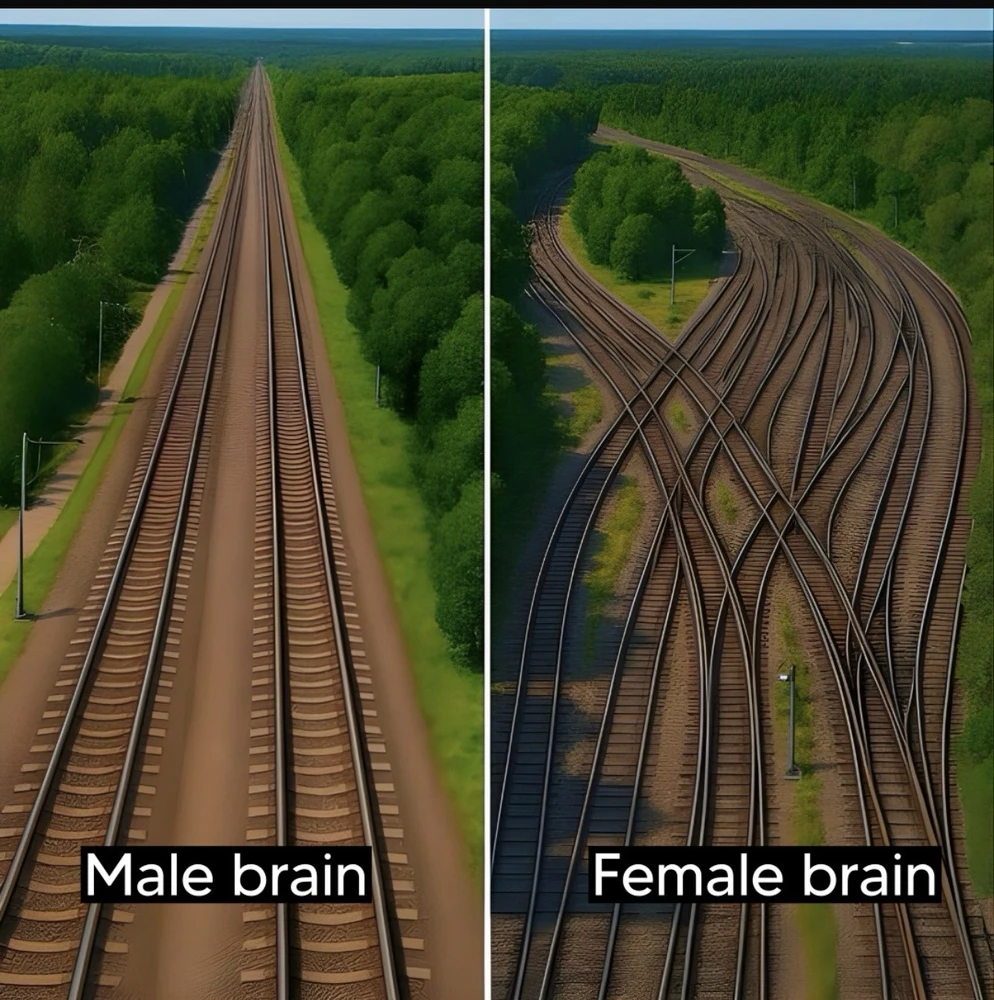 GIF uploaded by Vish