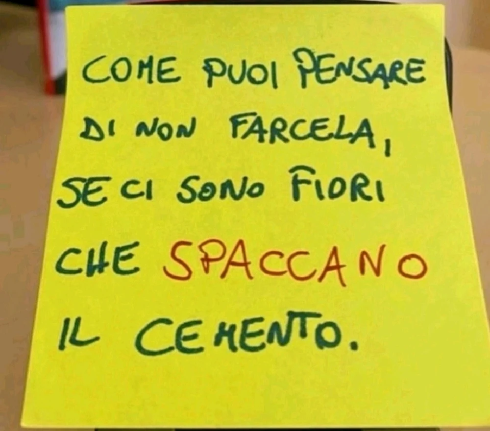 Immagine caricata da Vincè