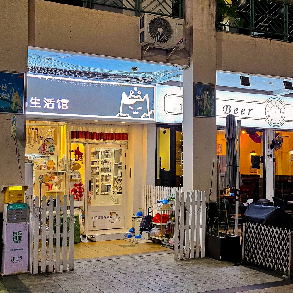 There was a cat sanctuary or cat spot next to the bar we went to! So cute