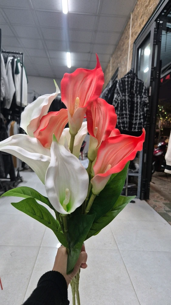 Image uploaded by Thảo