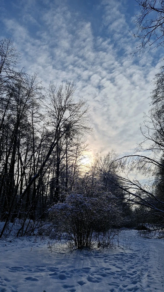 Гіфку завантажив Андрій
