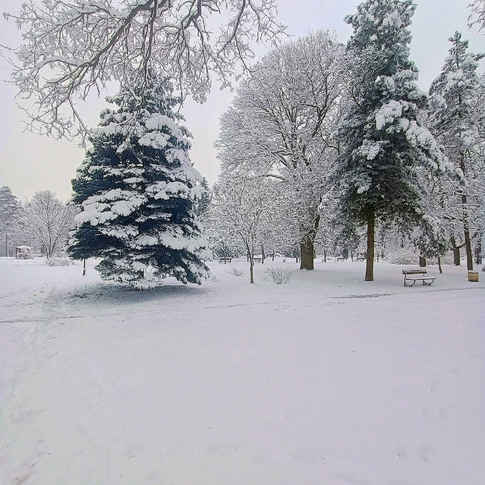 Image uploaded by Maggie