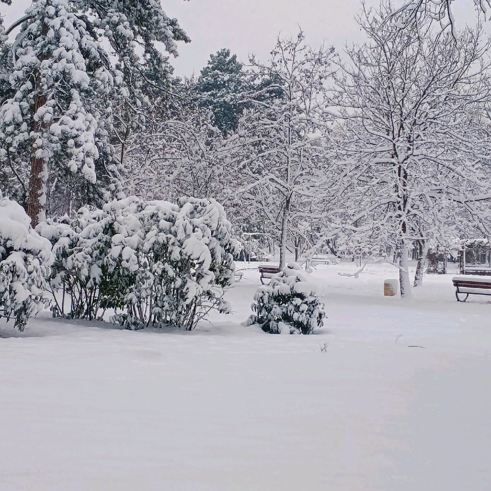 Image uploaded by Maggie