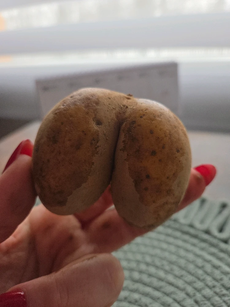 Obrázek nahrál Peťule