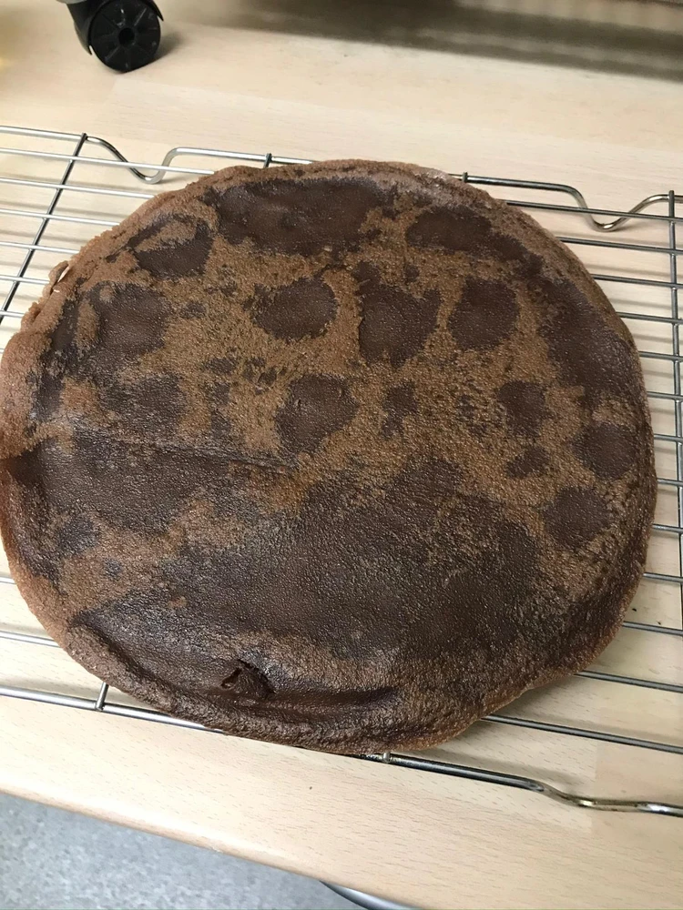 Image uploaded by Dan