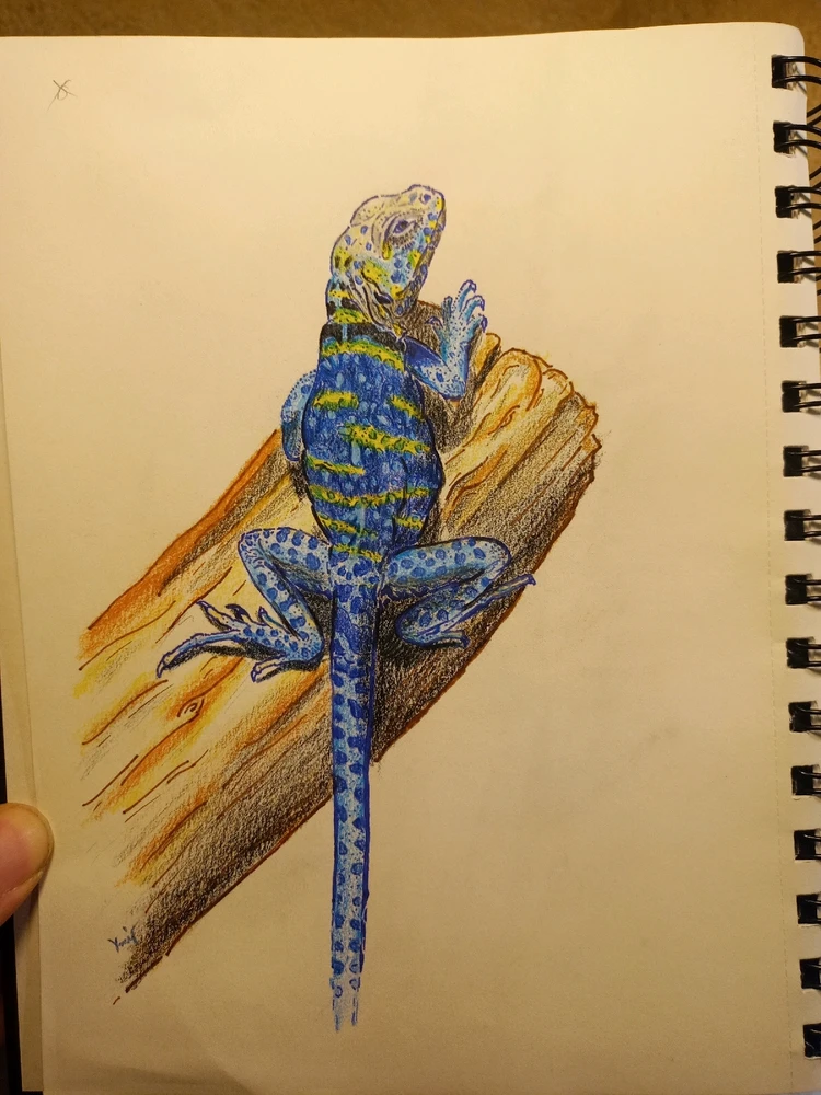 Image uploaded by Julius