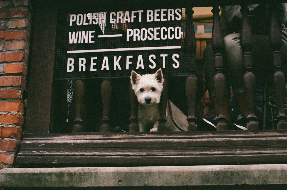 Image uploaded by Liza