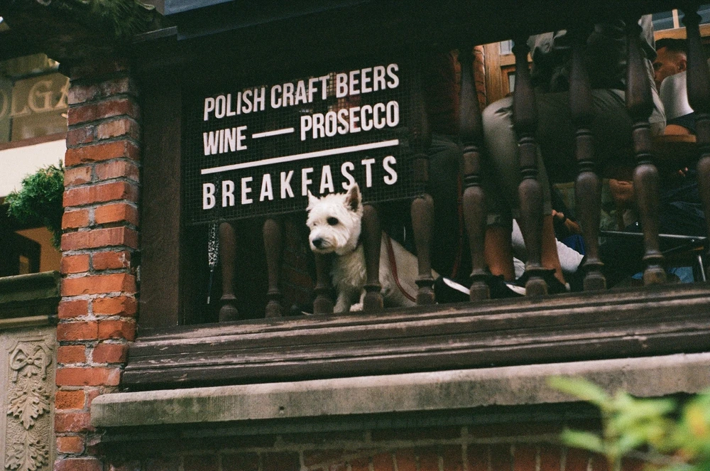 Image uploaded by Liza