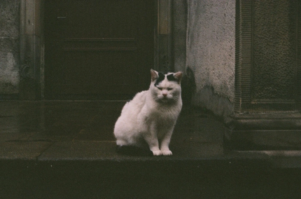 Image uploaded by Liza