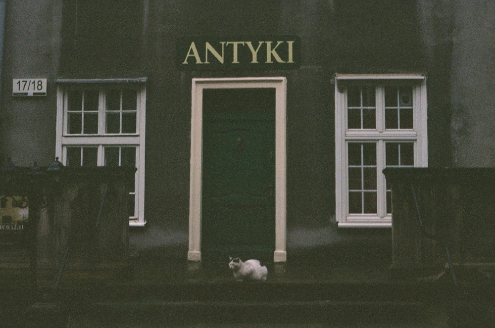 Image uploaded by Liza