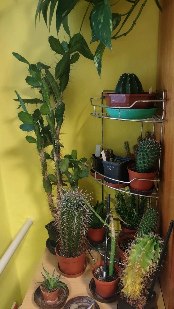 Obrázek nahrál zero