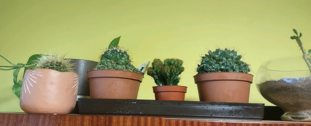 Obrázek nahrál zero