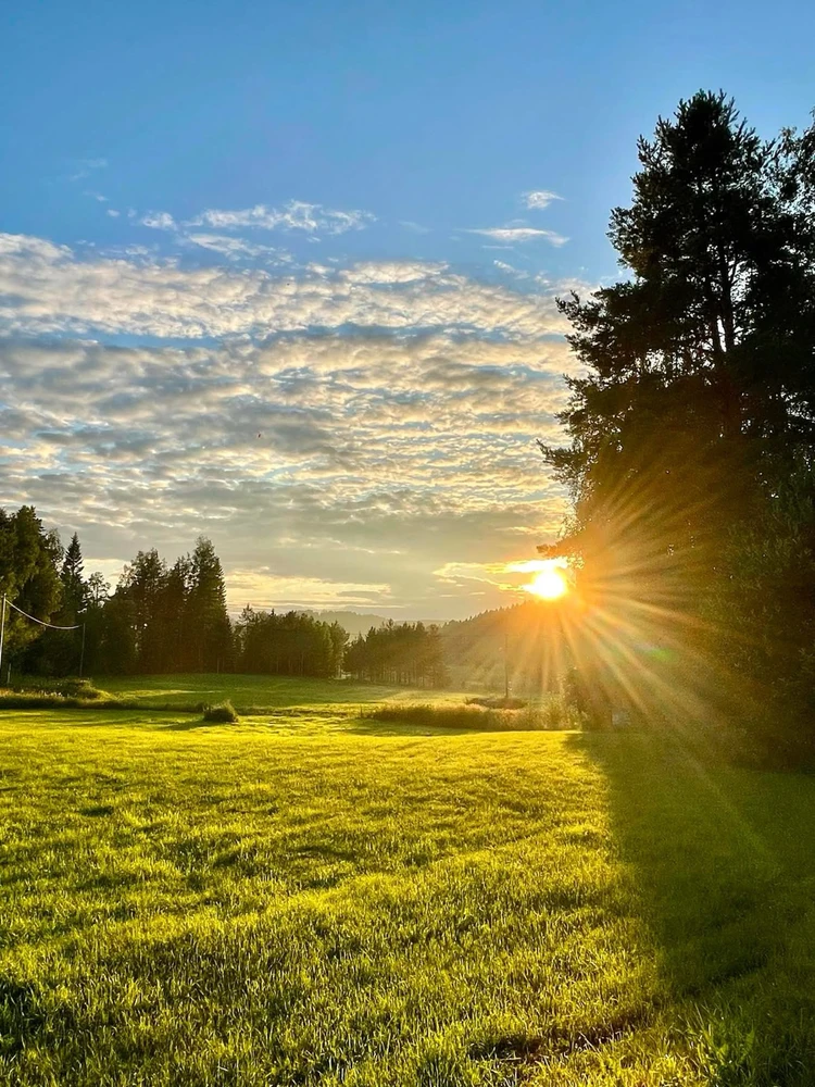 GIF uploaded by Gi Serey