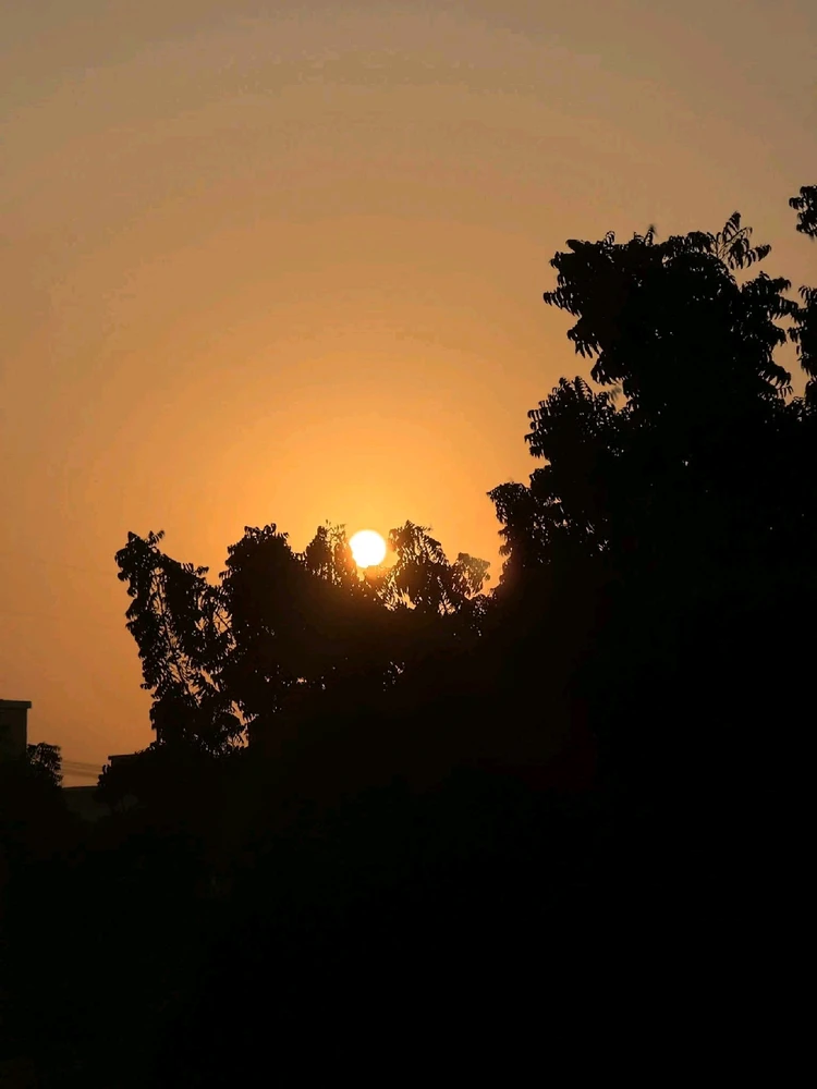 Image uploaded by 💜J💜o💜e💜y💜