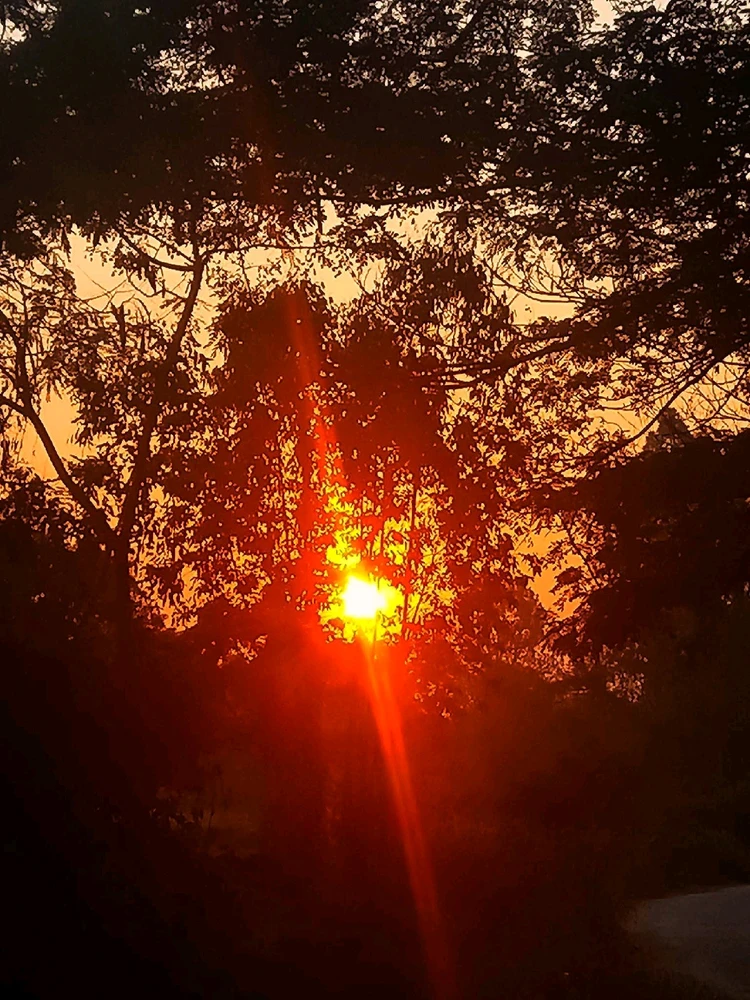 Image uploaded by 💜J💜o💜e💜y💜