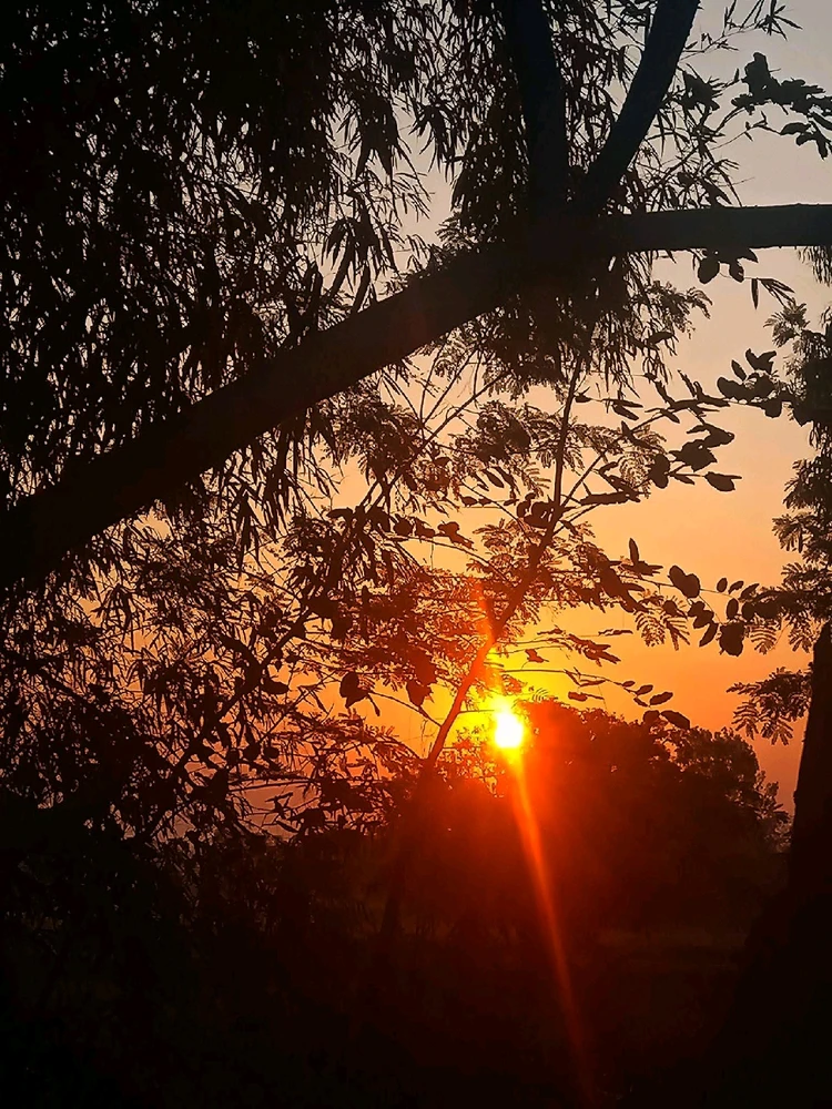 Image uploaded by 💜J💜o💜e💜y💜