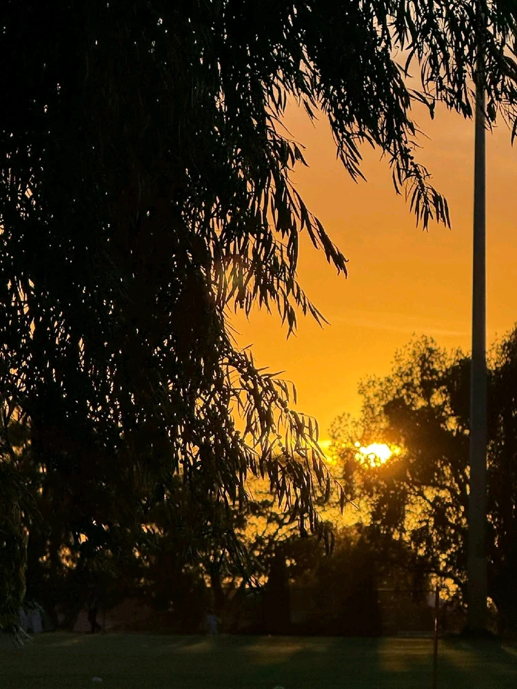 Image uploaded by 💜J💜o💜e💜y💜