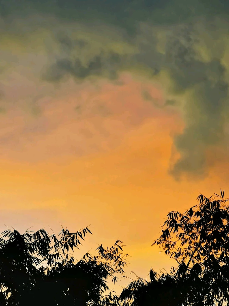 Image uploaded by 💜J💜o💜e💜y💜