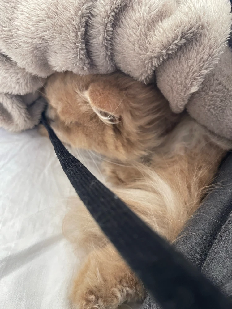 GIF uploaded by Weaam