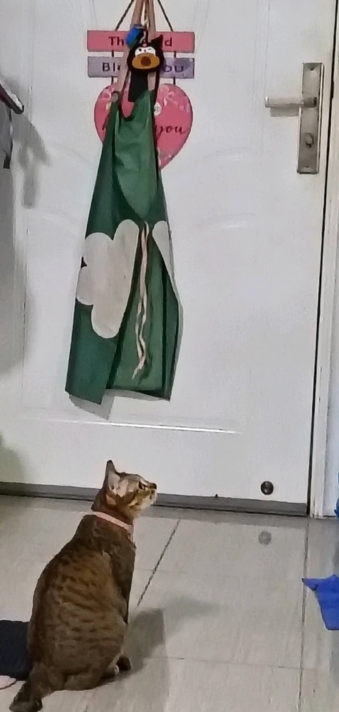 Image uploaded by Maria