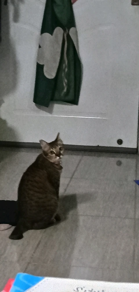 Image uploaded by Maria