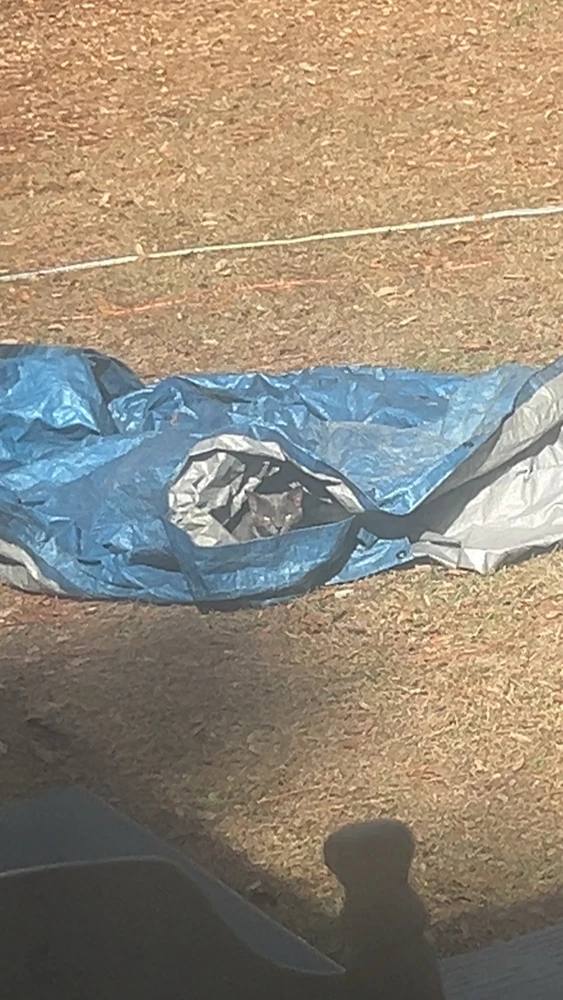 GIF uploaded by Coop