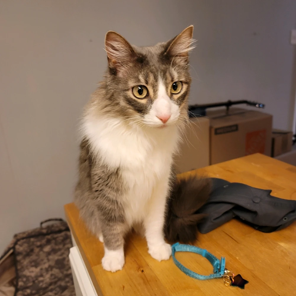 GIF uploaded by Ronnie