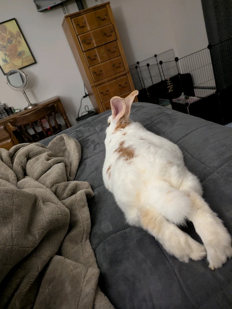 GIF uploaded by Kaylin