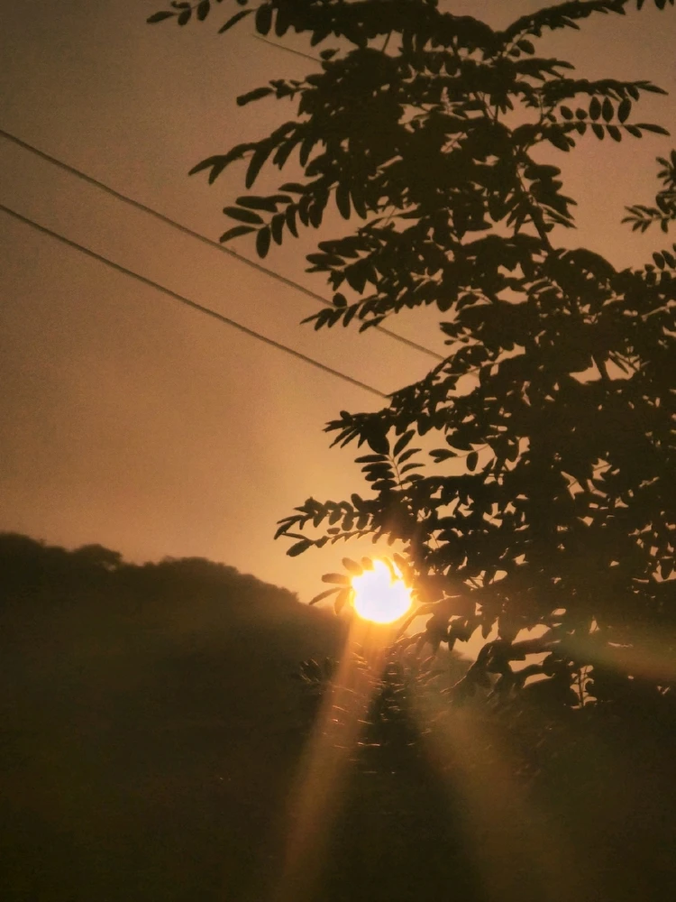 GIF uploaded by Antonette