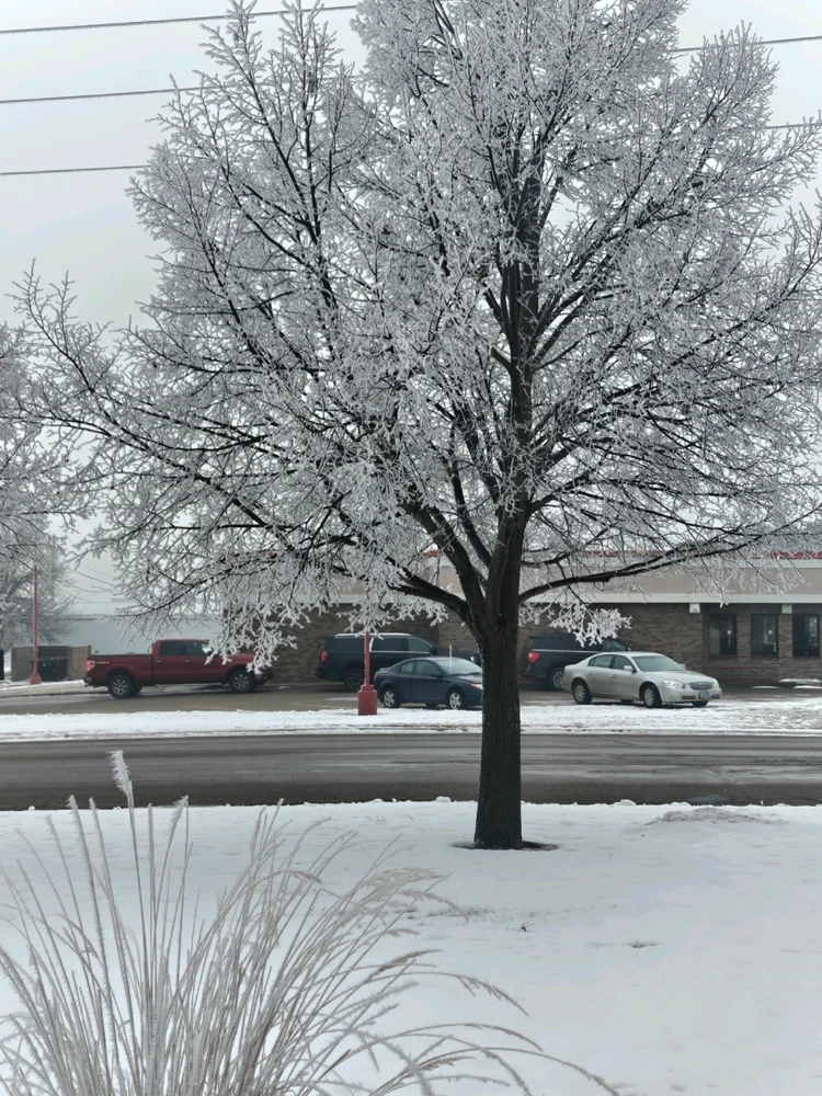 Image uploaded by Julian