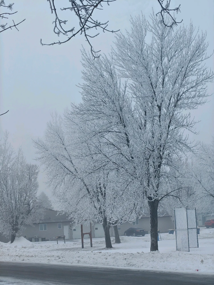 Image uploaded by Julian