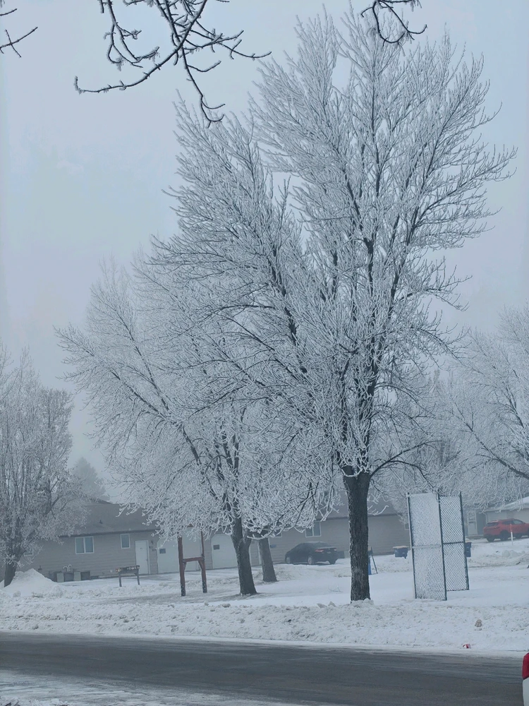 Image uploaded by Julian