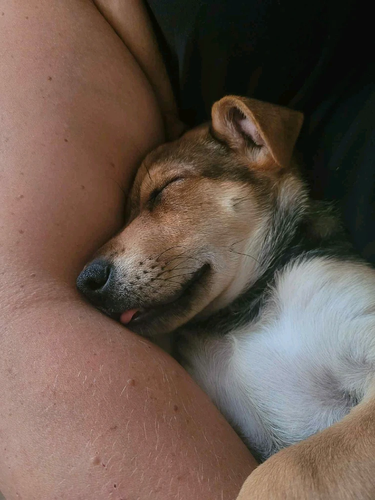 GIF dodany przez OldBoyJefferson