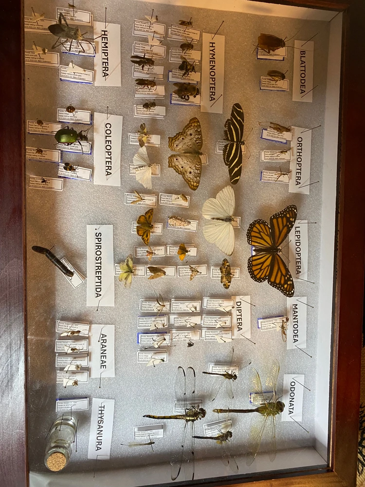 GIF diunggah dening Malin