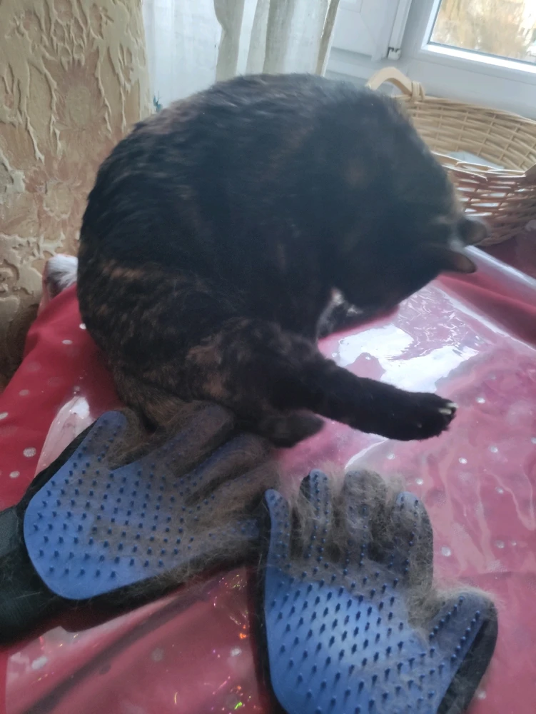 GIF uploaded by Nathalie