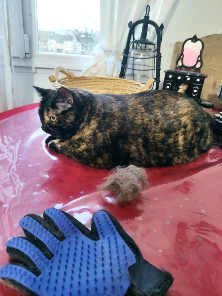 GIF uploaded by Nathalie