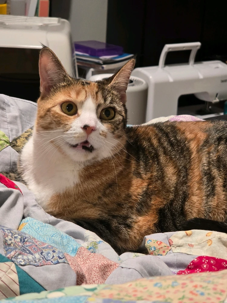 GIF uploaded by Erik